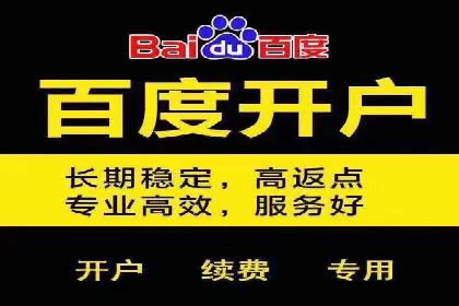 某行业SEM竞价专员的成功策略与经典案例